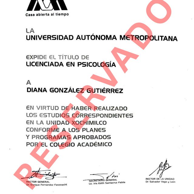 Ampliar imagen: certificate 3
