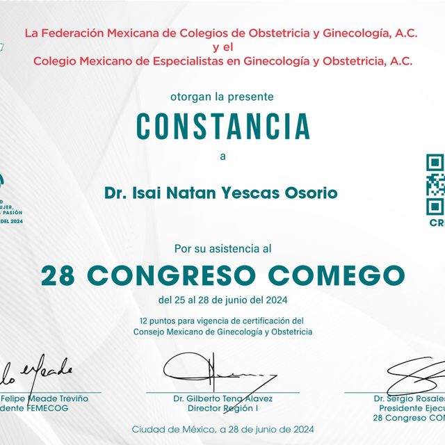 Ampliar imagen: certificate 4