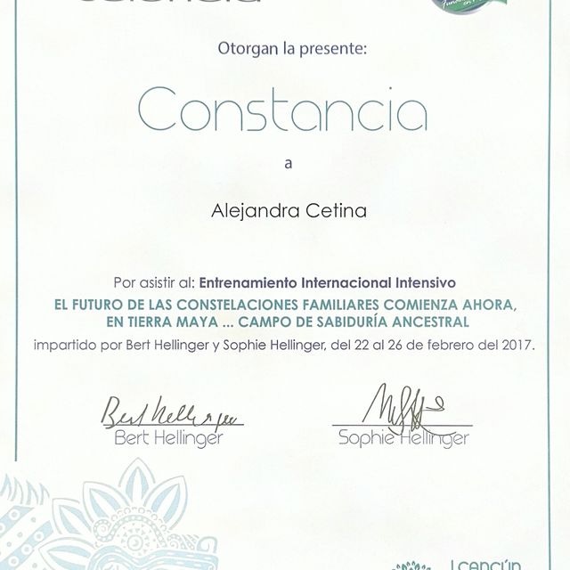 Ampliar imagen: certificate 4