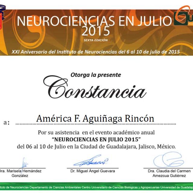 Ampliar imagen: certificate 6