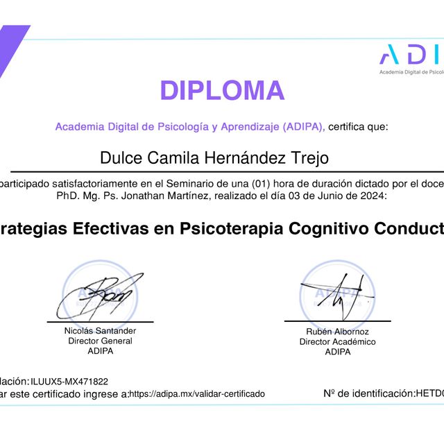 Ampliar imagen: certificate 1