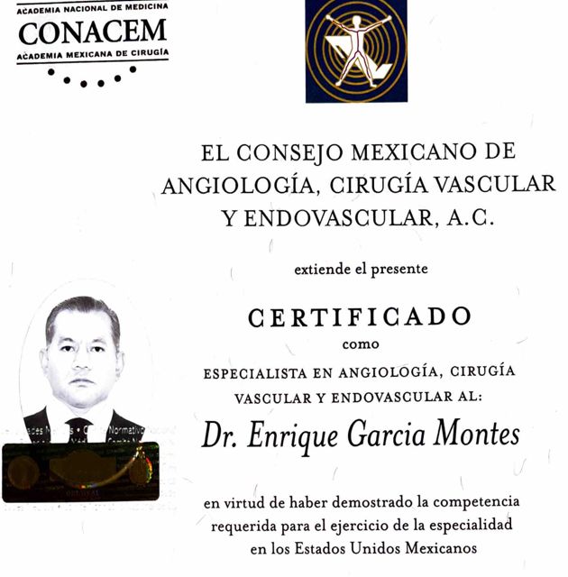 Ampliar imagen: certificate 3