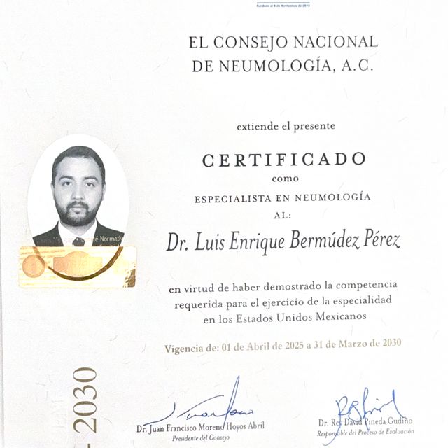 Ampliar imagen: certificate 1