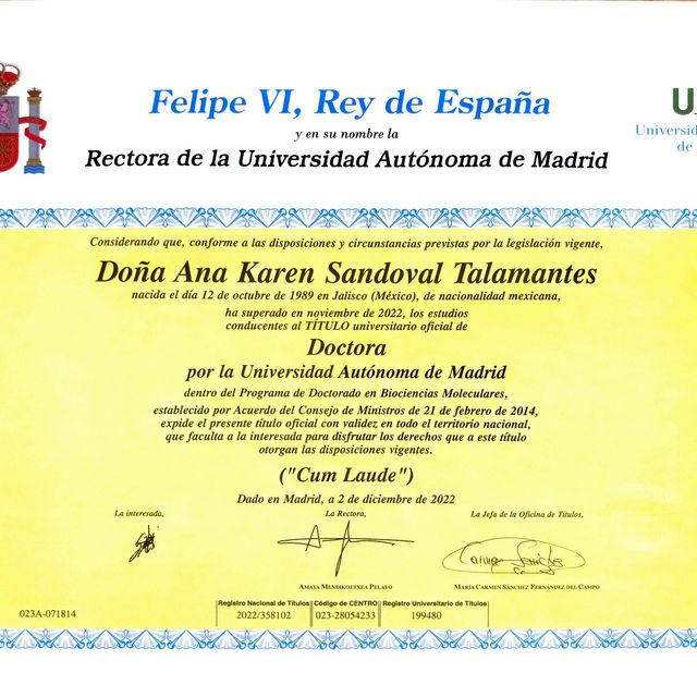 Ampliar imagen: certificate 6