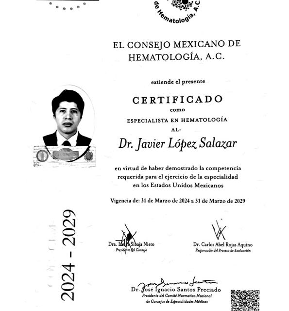 Ampliar imagen: certificate 2