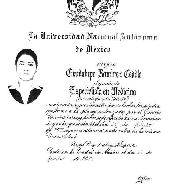 Ampliar imagen: certificate 4