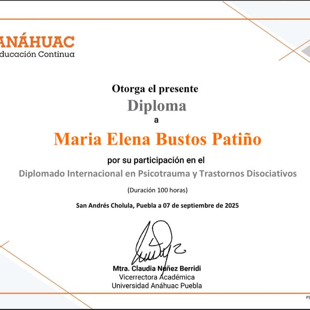 Ampliar imagen: certificate 3
