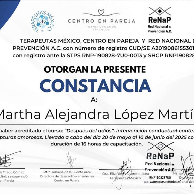 Ampliar imagen: certificate 8