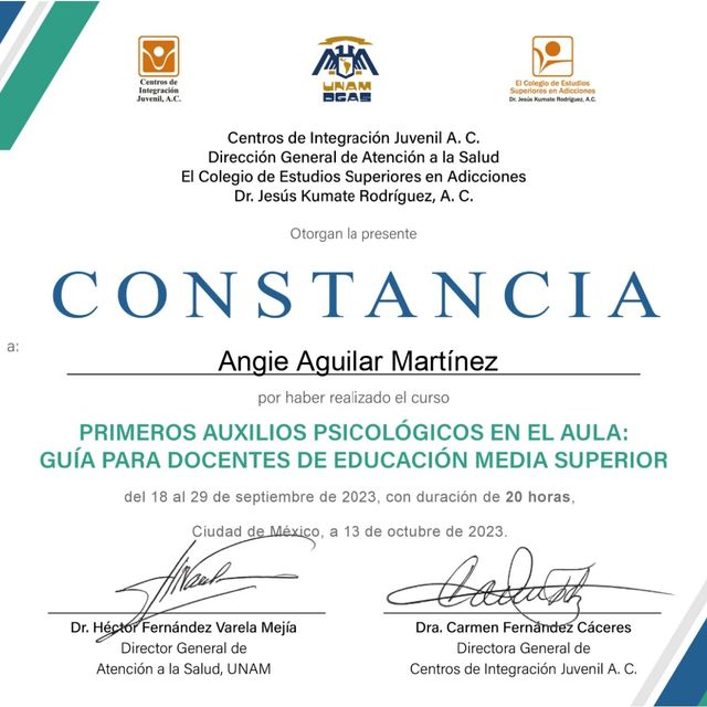 Ampliar imagen: certificate 6