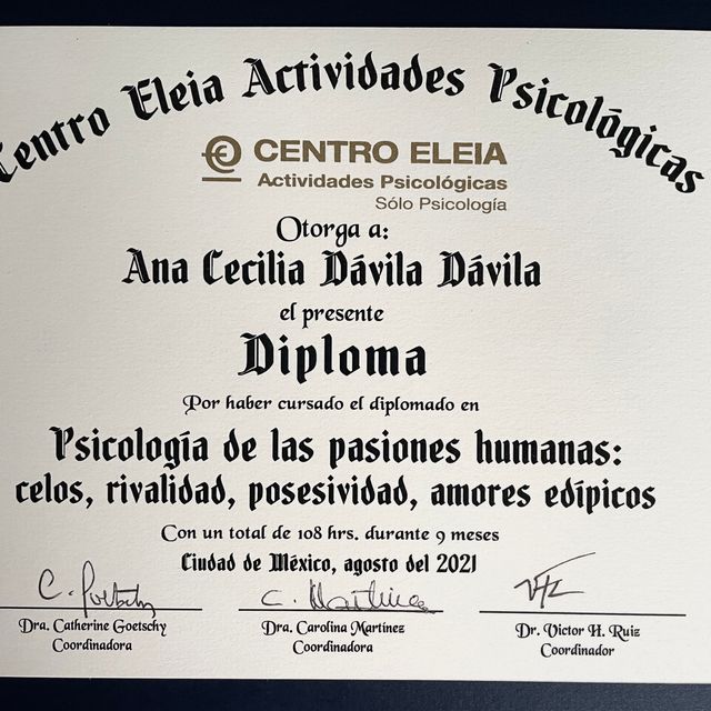 Ampliar imagen: certificate 4