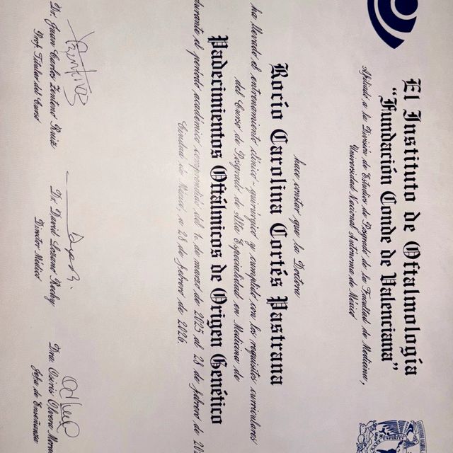 Ampliar imagen: certificate 2