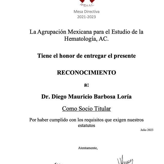Ampliar imagen: certificate 13