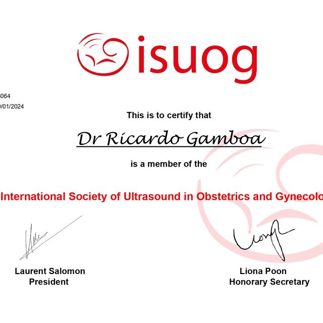 Ampliar imagen: certificate 6