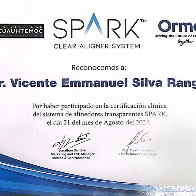 Ampliar imagen: certificate 6