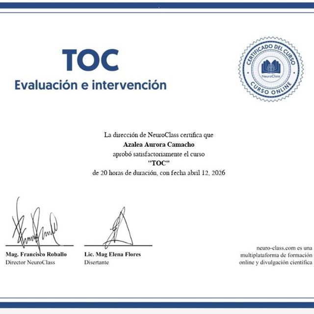 Ampliar imagen: certificate 22