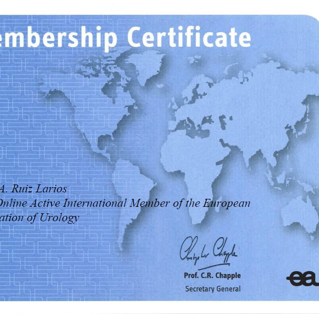 Ampliar imagen: certificate 1