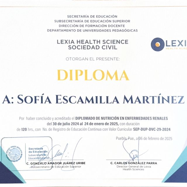 Ampliar imagen: certificate 6