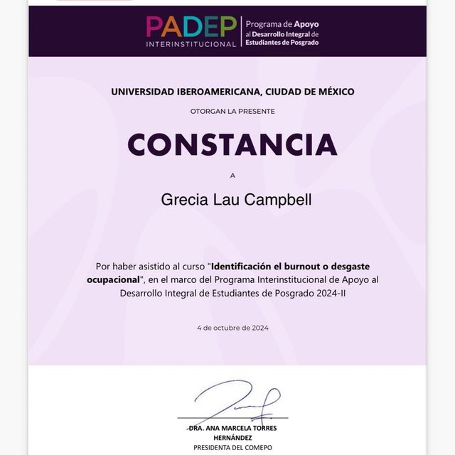 Ampliar imagen: certificate 2