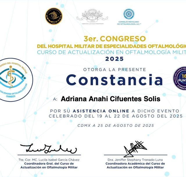 Ampliar imagen: certificate 3