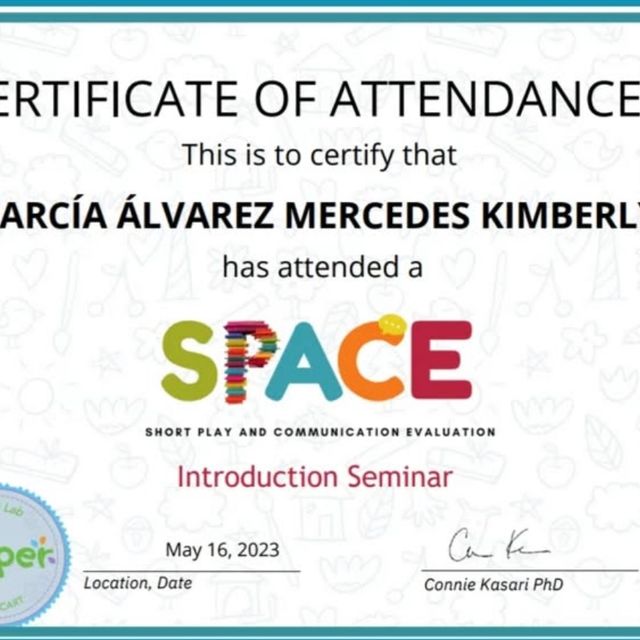 Ampliar imagen: certificate 1