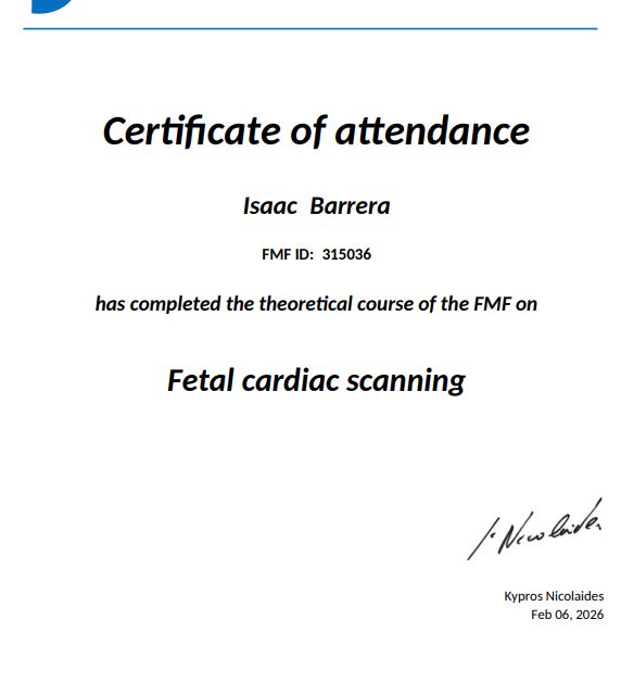 Ampliar imagen: certificate 3