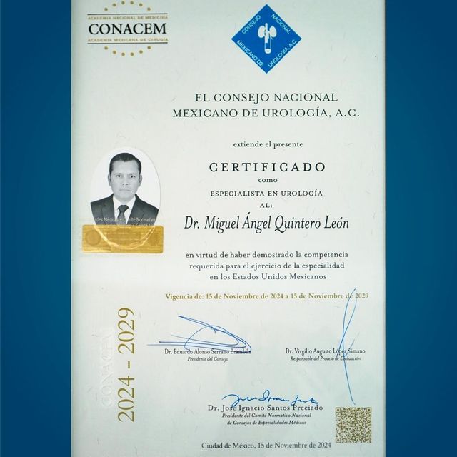 Ampliar imagen: certificate 2