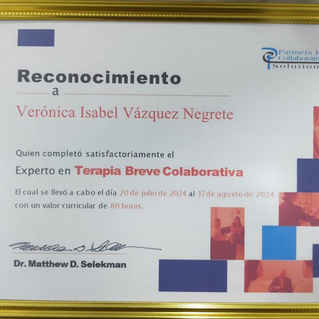 Ampliar imagen: certificate 14