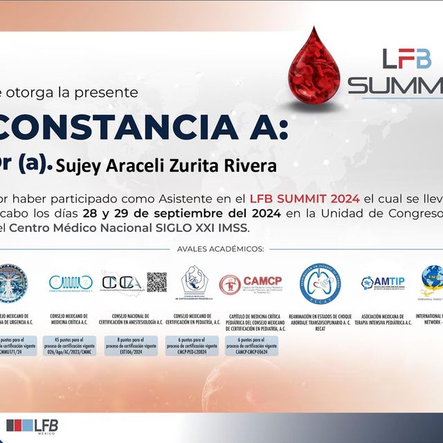 Ampliar imagen: certificate 12