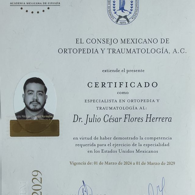 Ampliar imagen: certificate 1