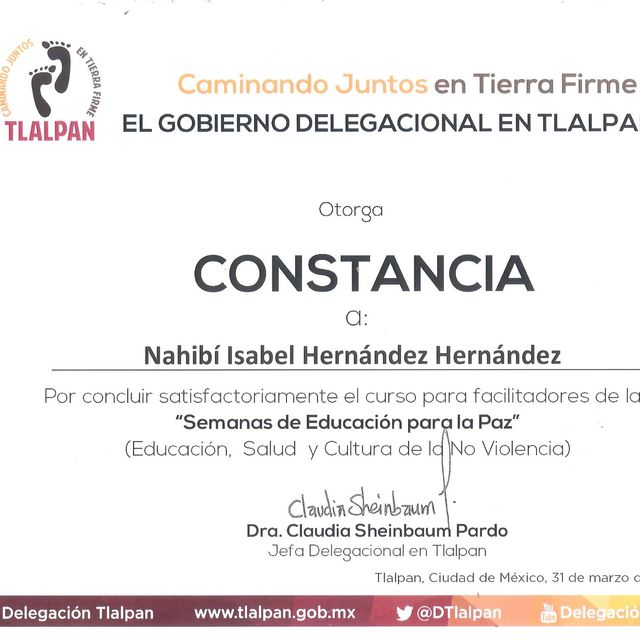 Ampliar imagen: certificate 18