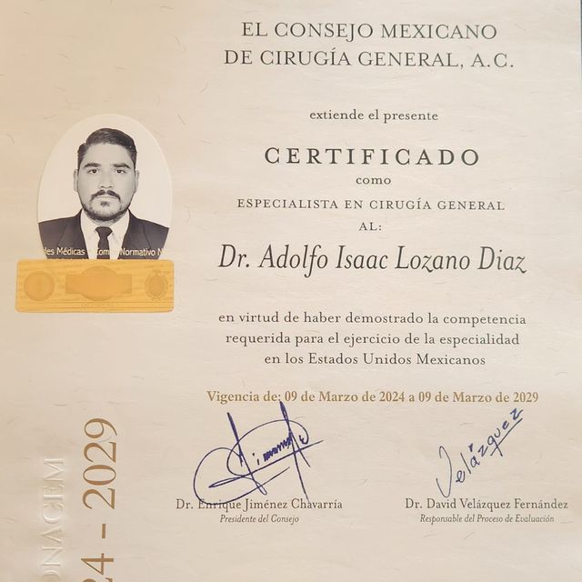 Ampliar imagen: certificate 1