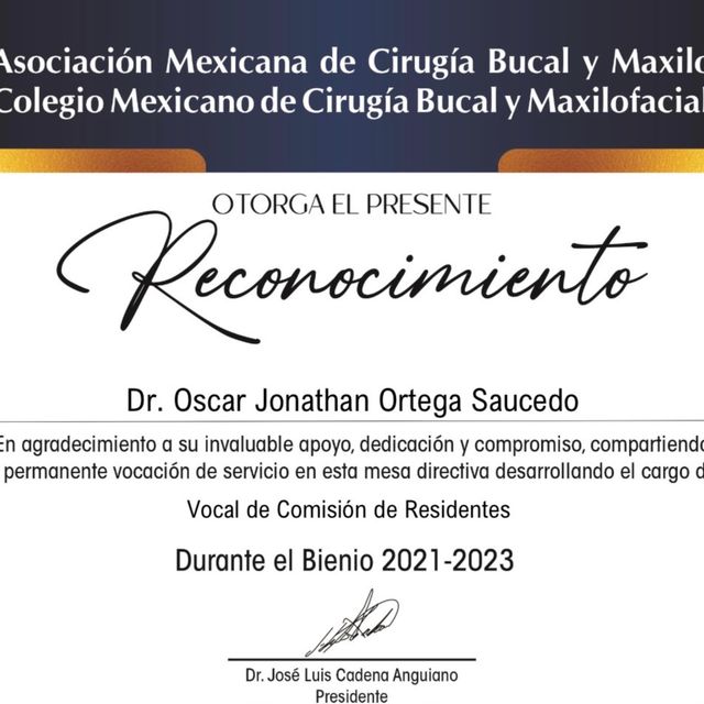 Ampliar imagen: certificate 3