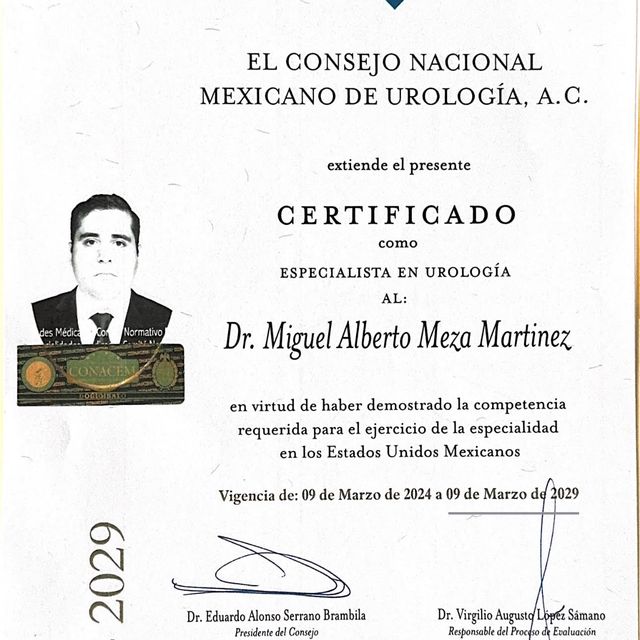 Ampliar imagen: certificate 1