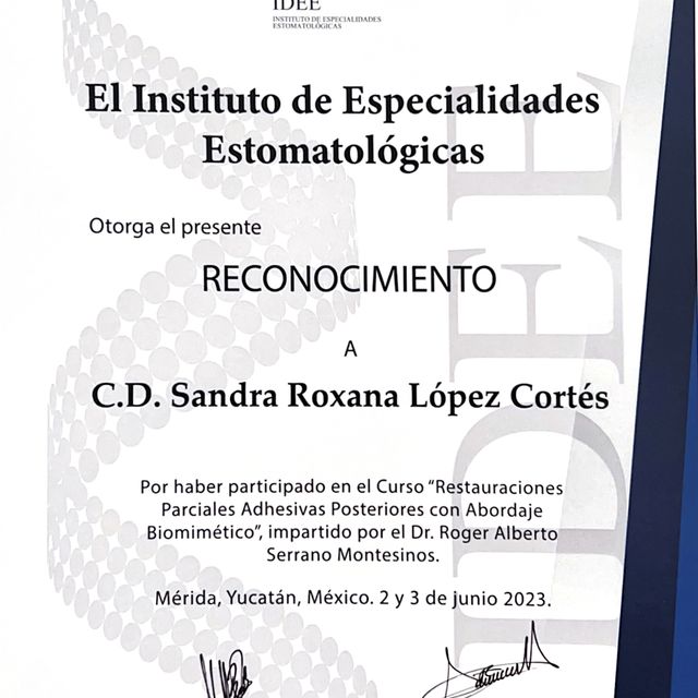 Ampliar imagen: certificate 2