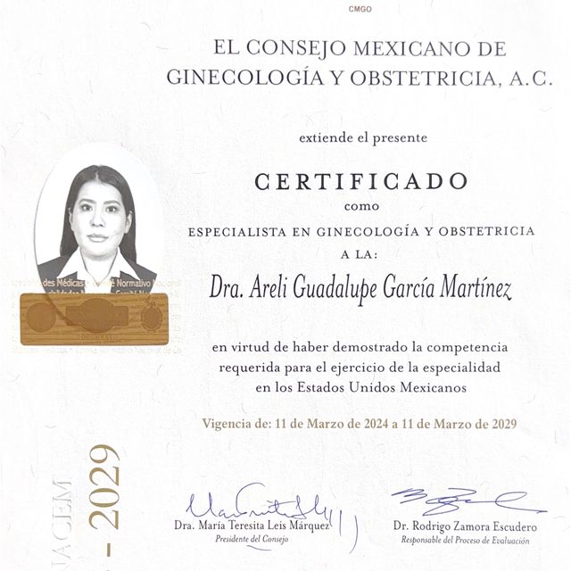 Ampliar imagen: certificate 3