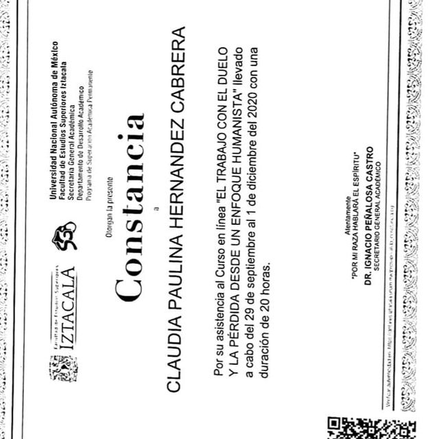 Ampliar imagen: certificate 13