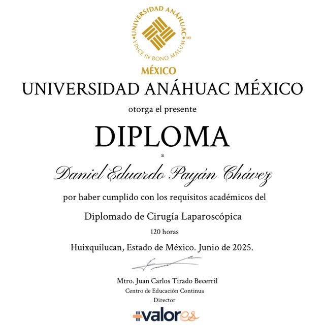 Ampliar imagen: certificate 3