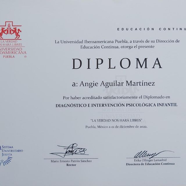 Ampliar imagen: certificate 9