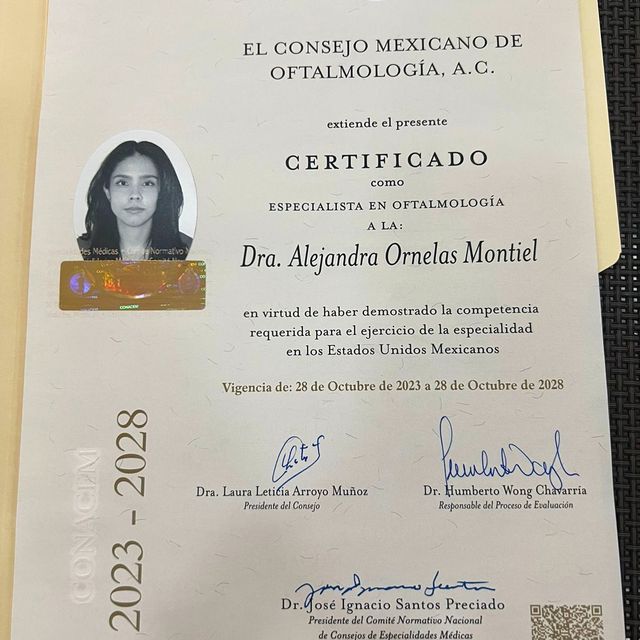 Ampliar imagen: certificate 3