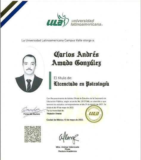 Ampliar imagen: certificate 8
