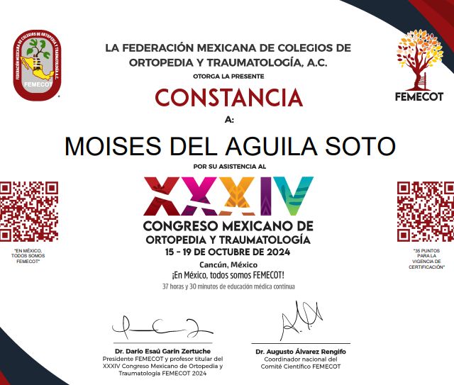 Ampliar imagen: certificate 1