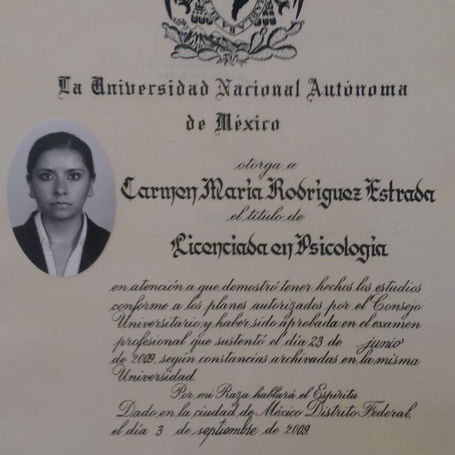 Ampliar imagen: certificate 3