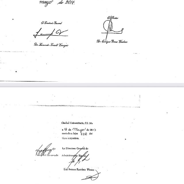 Ampliar imagen: certificate 5