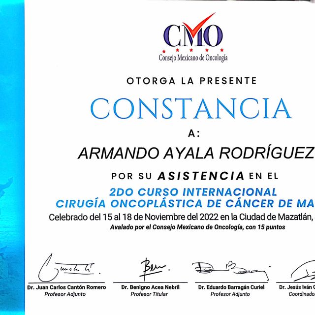 Ampliar imagen: certificate 4