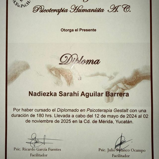 Ampliar imagen: certificate 2