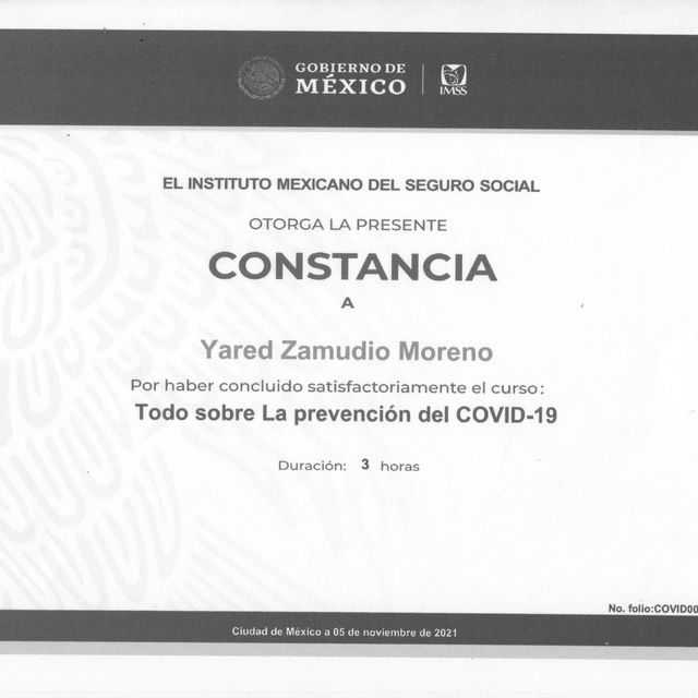 Ampliar imagen: certificate 3