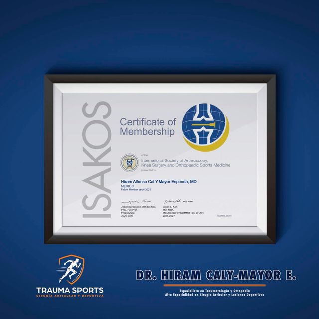 Ampliar imagen: certificate 2