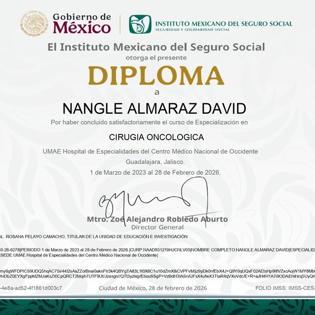Ampliar imagen: certificate 4