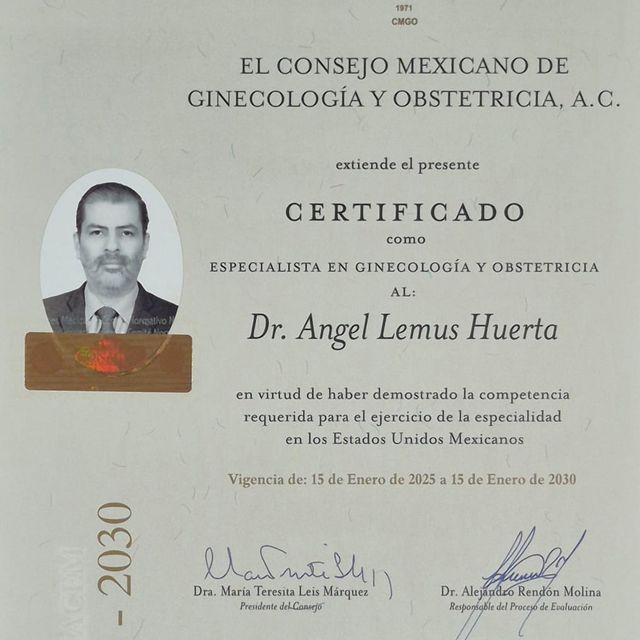 Ampliar imagen: certificate 3