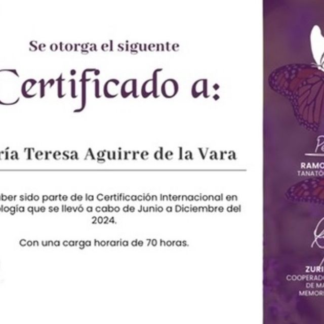 Ampliar imagen: certificate 5